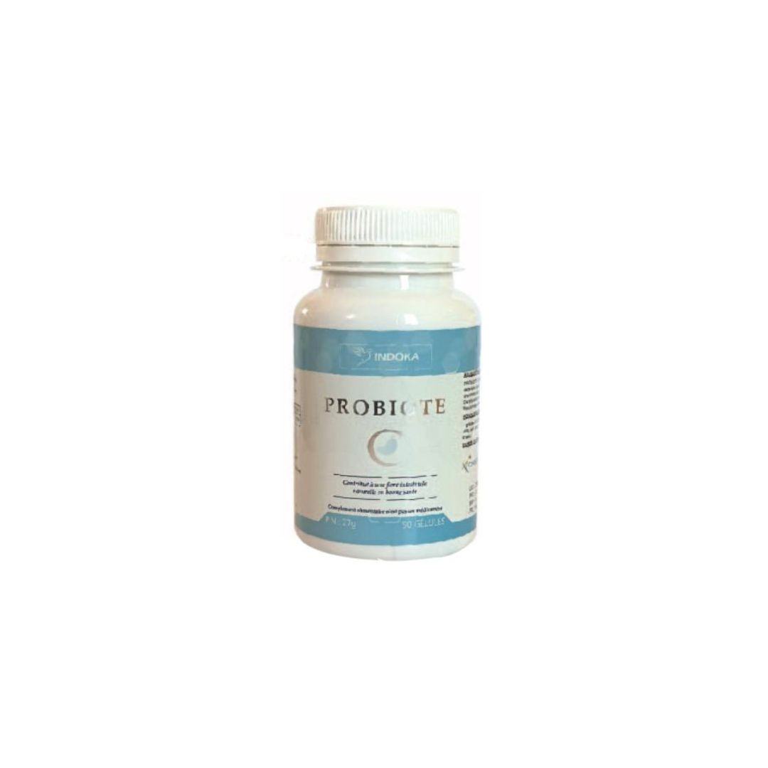 INDOKA PROBIOTE C 90 GÉLULES